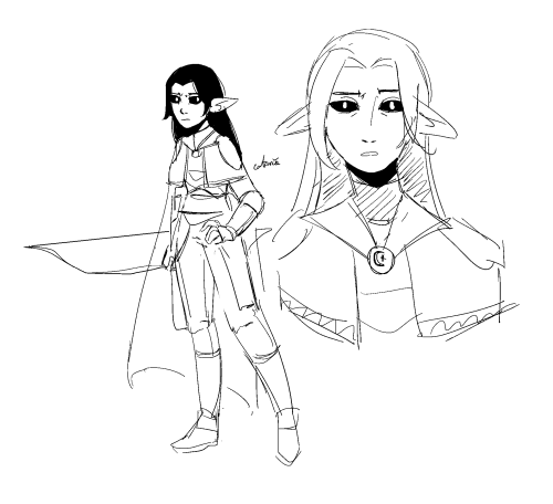 Dnd Concepts For A Circle Of Stars Druid, Astral Elf And Owlin. I Wont Be Using Them, But I Still Like