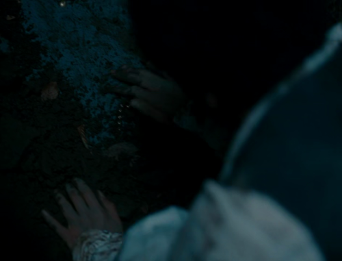 amourduloup:Wuthering Heights (2011), dir. Andrea Arnold