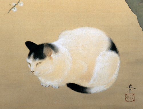 Hishida Shunsō aka 菱田 春草 aka Hishida Miyoji (Japanese, 1874-1911, b. Iida, Japan) - Cat and Plum Blo