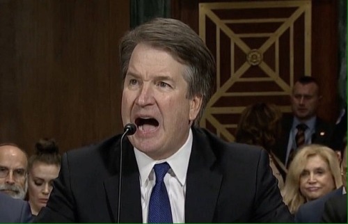 artemiswasamerf: rad-and-i-dont-stop:  radmatriarchy:  girlsmoonsandstars:  heringstuff: The face of