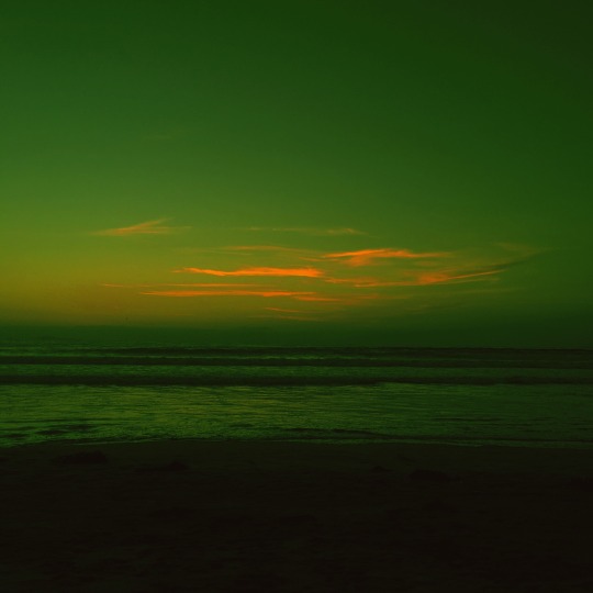 miauuugirl:Estoy muy enamorada del mar…27/09/2020 Ensenada B.C, México. Ig @elgatopresidente 