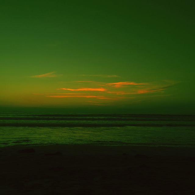 miauuugirl:Estoy muy enamorada del mar…27/09/2020 Ensenada B.C, México. Ig @elgatopresidente 