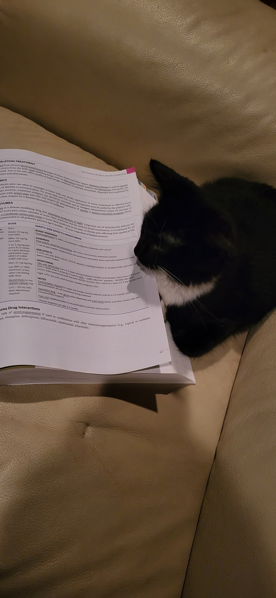 Boss Says Studying Is Important