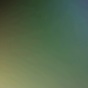 Colors :)
