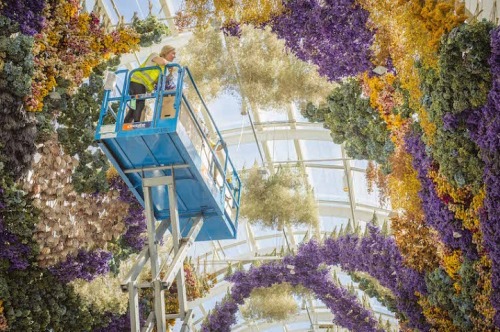 passivites: The Canopy by Rebecca Louise Law is composed of 150,000 native Australian flowers entwined together with carefully concealed copper wire.  