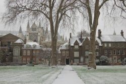 the-village-green:  College Gardens at Westminster Abbey One of my very favorite spots in the whole of London.  oiseaux-vivant 