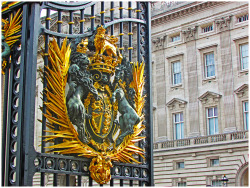 andrewhudsonstuff:  Andrew’s Stuff  Gate Buckingham Palace, London