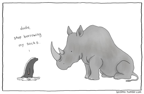 lizclimo: are you sure it was him 