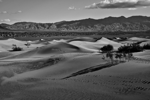 matt-barber58:Mid-Morning ShadowsMesquite Sand Dunes, Death Valley