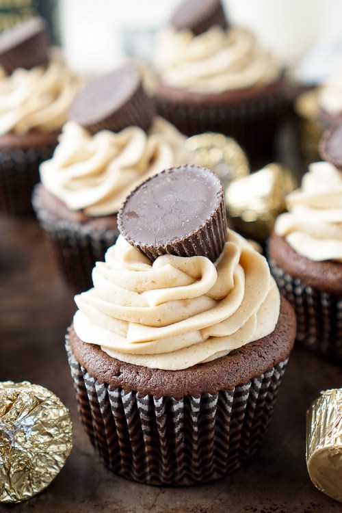 Cookie Butter Chocolate Cupcakes
All we need is food ♡