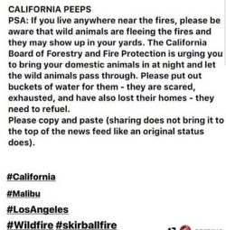 weavemama:spreading this around bc the fires are expected to get worse. please keep your lil fur babies safe and try your best to help the wildlife if there’s time. my heart is with those in Southern California.