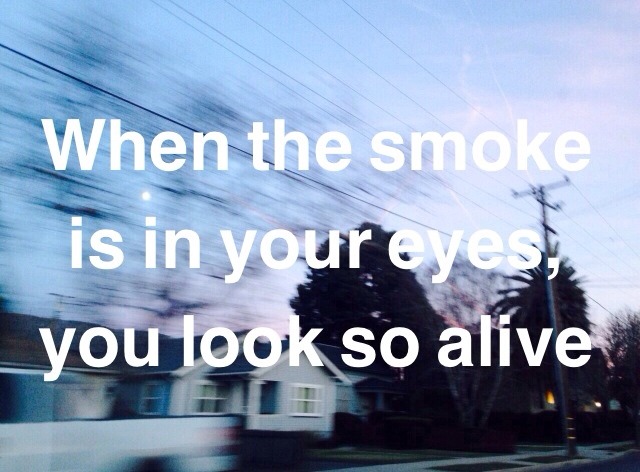 furidge:  fallingforyou // the 1975