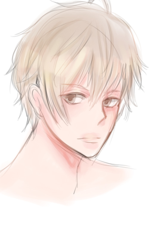 Reblog for a character drawing based on your blog.
