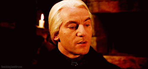 Forbidden Loyalties (Lucius Malfoy X Y/n) 