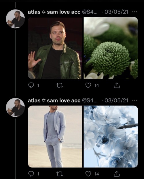 Sebastian Stan As Flowers: An Absolutely Adorable Thread By @S4MWILSON On Twitter