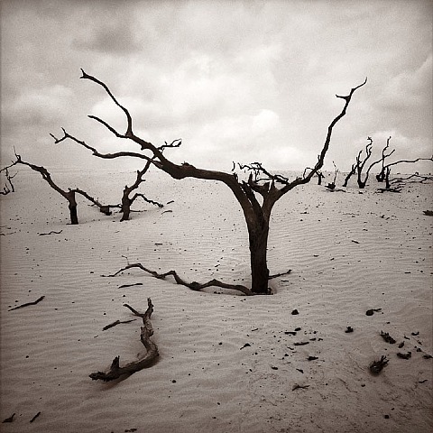 arovingeye: Graciela Iturbide