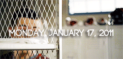 bahnsee:  teen wolf timeline: part one
