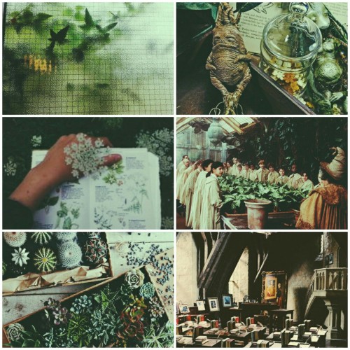 Herbology • hur-bol-uh-‘jee, :ur- • The analysis or study of plants through Botany.