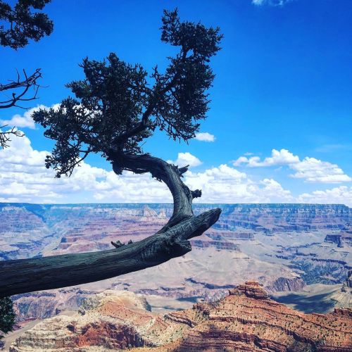 Find Adventure Wherever You Are. Beautiful views over the South Rim of the @grandcanyonnps #natureph