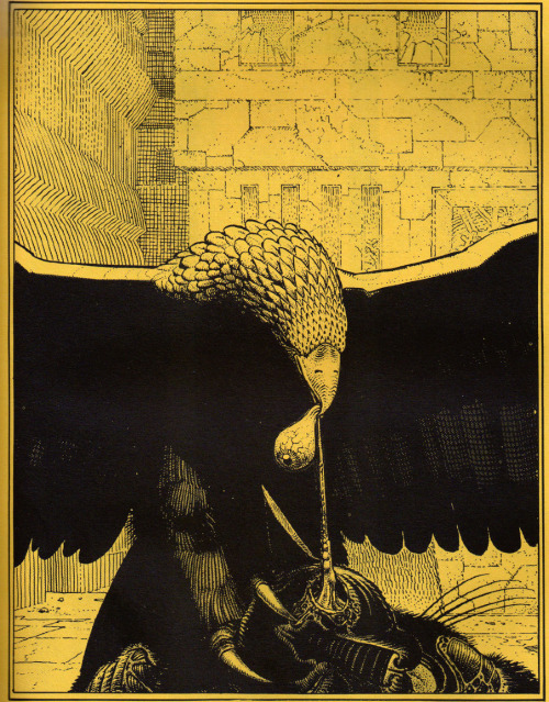 caninodeoiro:  fer1972:  Moebius  