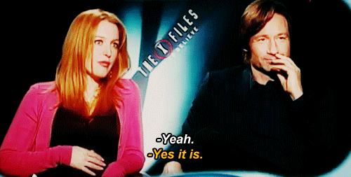 gilliankillingmewithboobs:  i CAN’T WITH THESE TWO. 