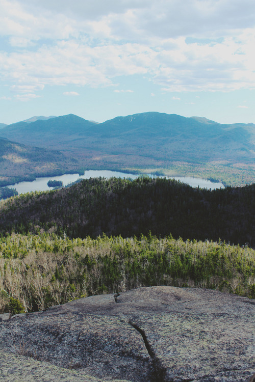 sk-eptic:    ~ vertical vintage/nature ~ 