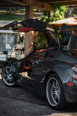 Pagani Huayra, full carbon fiber