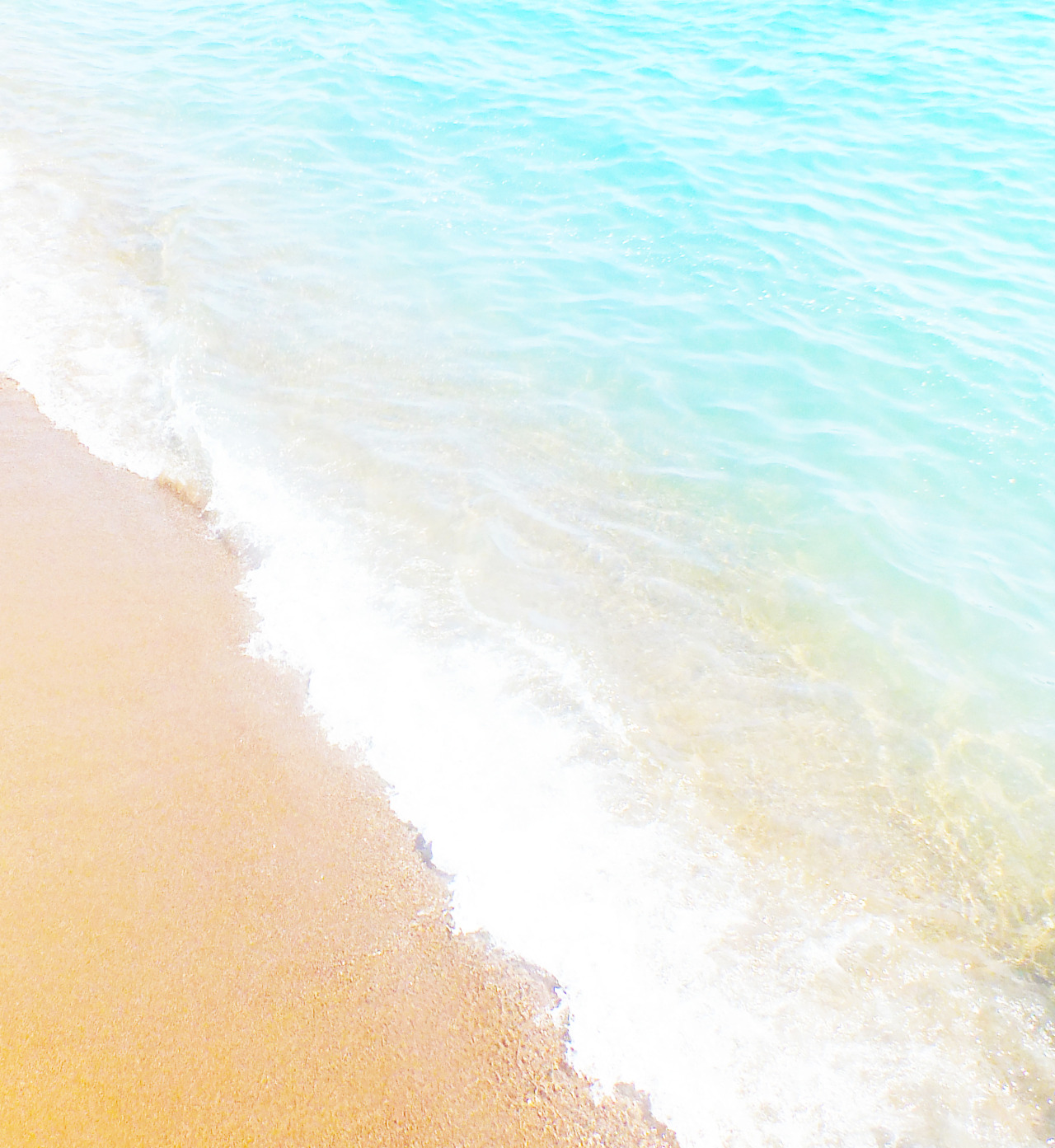 adventuresguide:  Tropical ✿ 