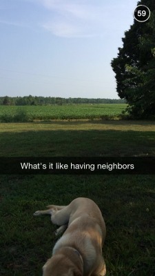 asleepinyourcobweb:  mare-moment:  mare-moment:  My snapchat story y’all  WHY DOES THIS HAVE SO MANY NOTES HAHAHAH   This is like my house :’)