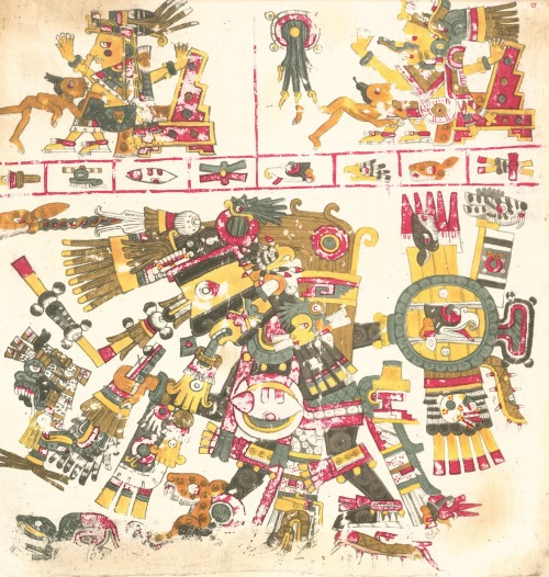 magictransistor:  Codex Borgia (Codex Yoalli Ehēcatl). Folios from the Mayan Divination and Ritual M
