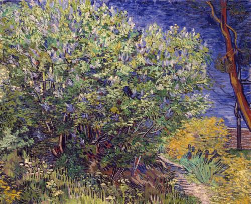 vizuart:Vincent Van Gogh - Lilacs (1889)