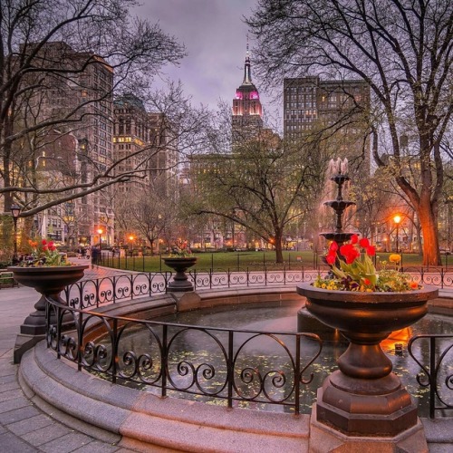 newyorkcityfeelings:Madison Square Park by Noel Y.C. @nyclovesnyc