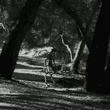 fatalitum:  American Horror Story: Coven (2013) 