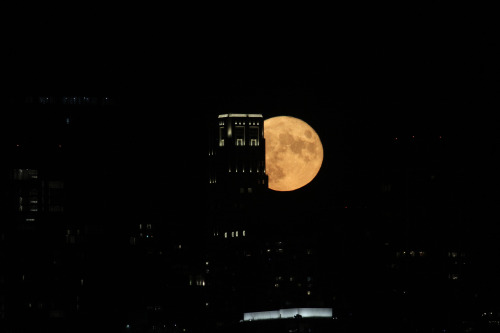 highways-are-liminal-spaces: The Sturgeon Moon rises over Chicago