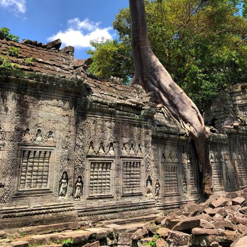 hinducosmos:Preah Khan Temple, Angkor Wat, Cambodialoreleypolaroid wrote : Preah Khan Temple. It is 