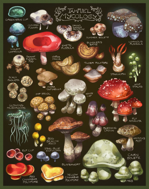 icicleteeth:I like mushrooms…