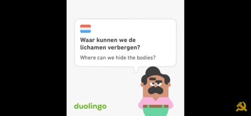 Bros As Random Duolingo Sentences