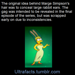 friendshipismax:  ultrafacts:  This is an image of her ears from the Simpsons Arcade Game   Source Follow Ultrafacts for more facts   I can’t believe Marge is actually a furry. 