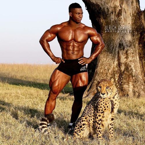   AFRICA: I always knew that Africa harbors some of the most talented athletes with the biggest potential. They grow despite all the restrictions, lack of supplements and lack of good training facilities. Here you see a small sample of great bodybuilders