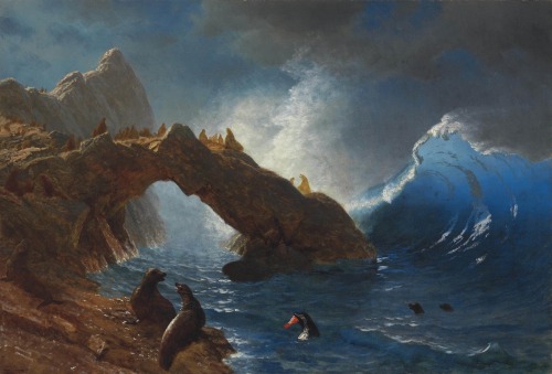 Seals on the Rocks, 1873 by Albert Bierstadt (German-born American, 1830–1902)