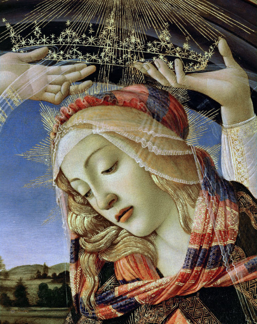 marcuscrassus: Sandro Botticelli - Magnificat Madonna (detail)