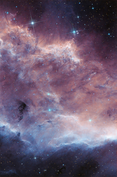 California Nebula in Perseus by Simon Cao