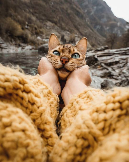 The most beautiful traveler. 🌎🐈 porn pictures