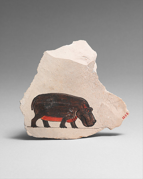 ancientpeoples:Limestone ostracon with image of a hippopotamus The details in the image are rem