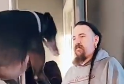 assoc-of-free-people:nintenerd64:funny-tik-toks:    That’s the face of a man who has been working with that dog for over a year to keep it from jumping on people. And that’s the face of a dog saying to the man I’m not touching you. 