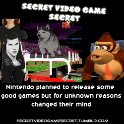 secretvideogamesecret:  If video games have
