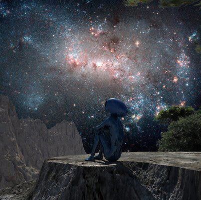 spiritualevolution1111:  I wonder if there are others out there looking up at me…