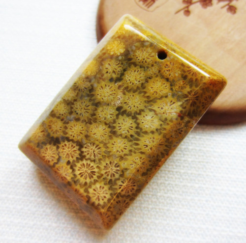 sdlgiftstore:Coral Fossil Pendant 8Q52  37x26x12mm 128.5ct 8Q52 https://www.ebay.com/itm/16331664085