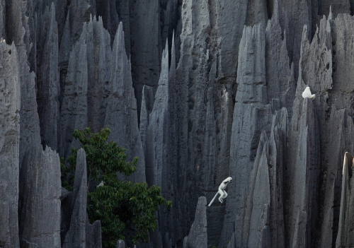 nubbsgalore:  tsingy de bemaraha national park, a unesco world heritage site in western madagascar, is home to lemurs who, with thick pads on their hands and feet, navigate this six hundred square kilometer labyrinth of three hundred foot tall razor sharp