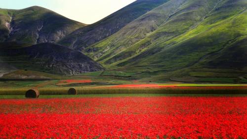 expressions-of-nature:  Castelluccio, Italy by Elena Sala